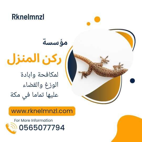 إبادة الوزغ بمكة